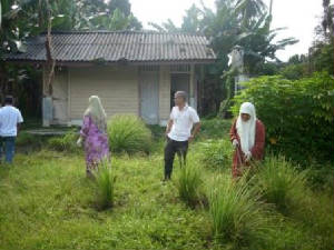 kebunsayur.jpg