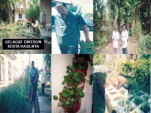 kebun.jpg